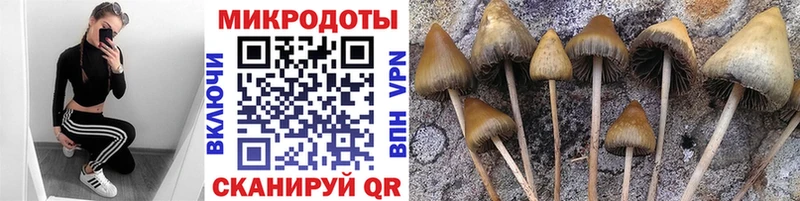 Купить закладки  Грозный  Псилоцибиновые грибы мухоморы 